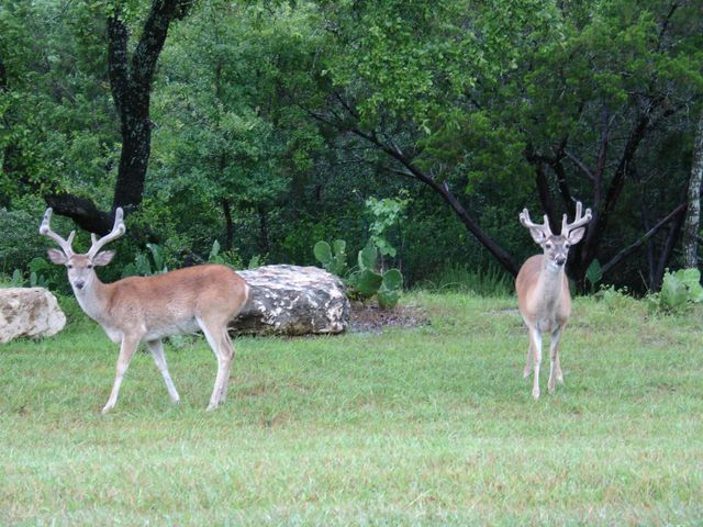 1017 Coventry RD, Spicewood, TX 78669