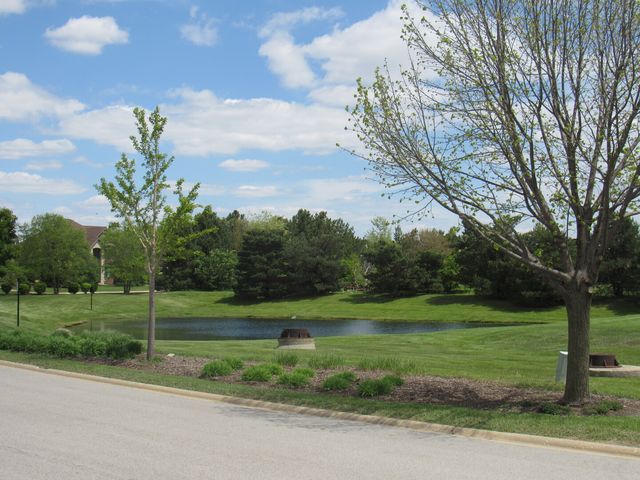 22276 Elise Boulevard, Frankfort, IL 60423