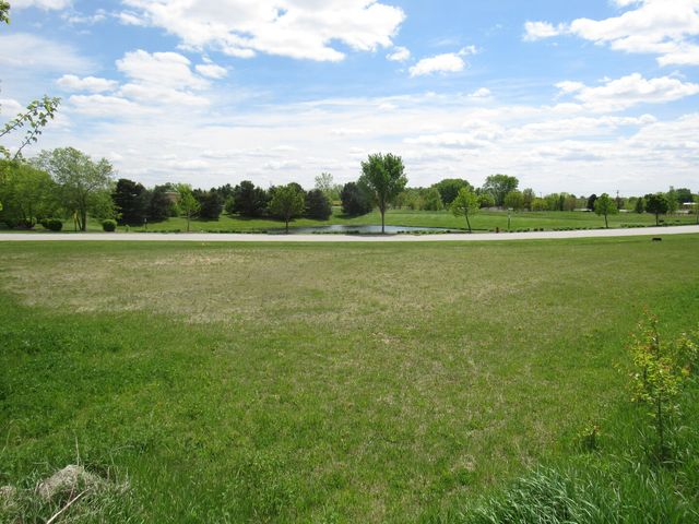 22276 Elise Boulevard, Frankfort, IL 60423