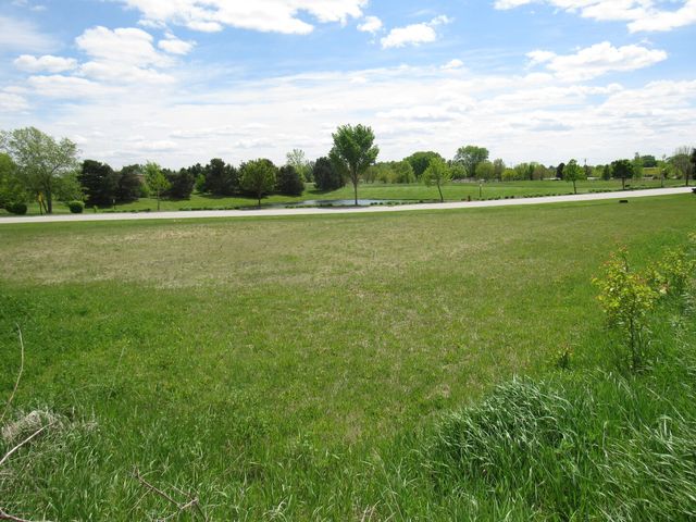 22276 Elise Boulevard, Frankfort, IL 60423