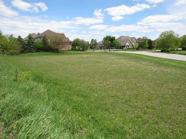 22276 Elise Boulevard, Frankfort, IL 60423
