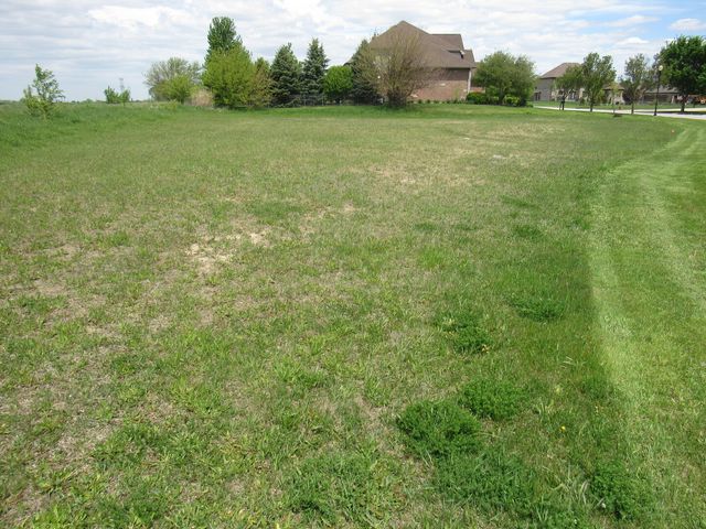 22276 Elise Boulevard, Frankfort, IL 60423