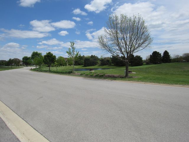 22276 Elise Boulevard, Frankfort, IL 60423