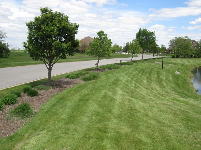 22276 Elise Boulevard, Frankfort, IL 60423