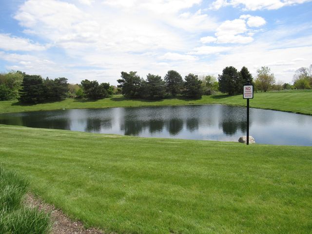 22276 Elise Boulevard, Frankfort, IL 60423