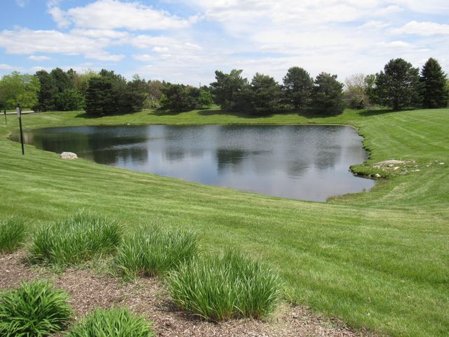 22276 Elise Boulevard, Frankfort, IL 60423