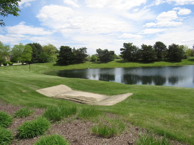 22276 Elise Boulevard, Frankfort, IL 60423