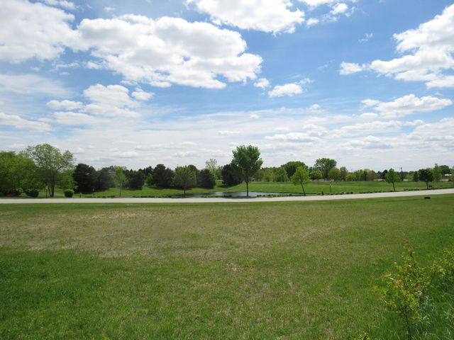 22276 Elise Boulevard, Frankfort, IL 60423