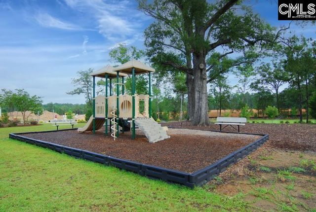 577 Eagles Rest Drive, Chapin, SC 29036