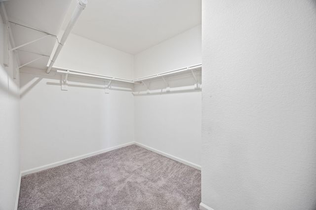 10143 California Lily Ln Lane, Houston, TX 77016