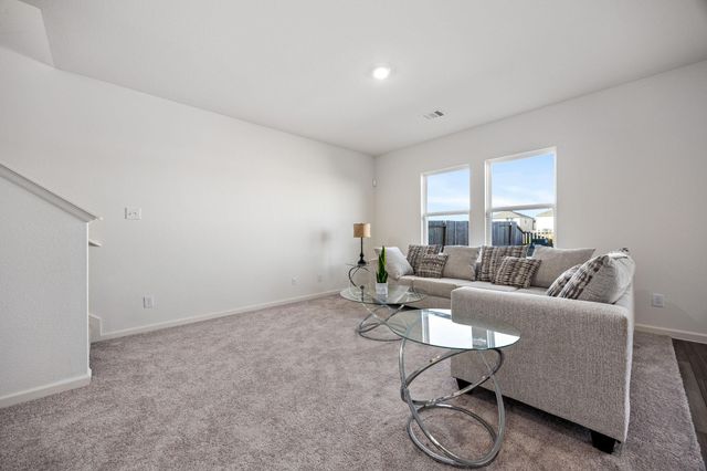 10143 California Lily Ln Lane, Houston, TX 77016