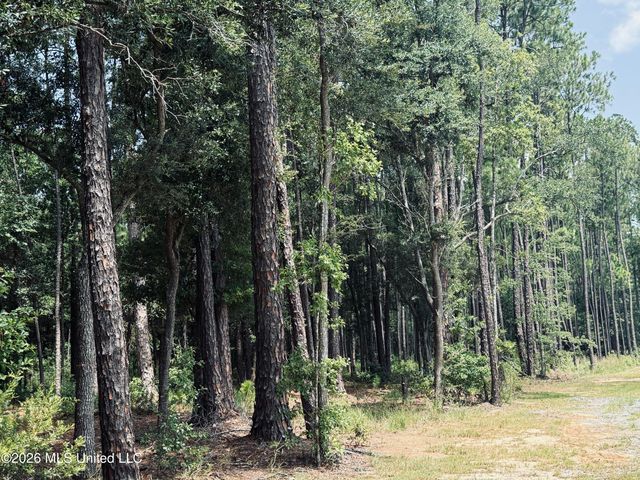 000 Old Spanish Trail, Ocean Springs, MS 39564