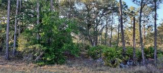1012 JAPONICA DRIVE, Indian Lake Estates, FL 33855