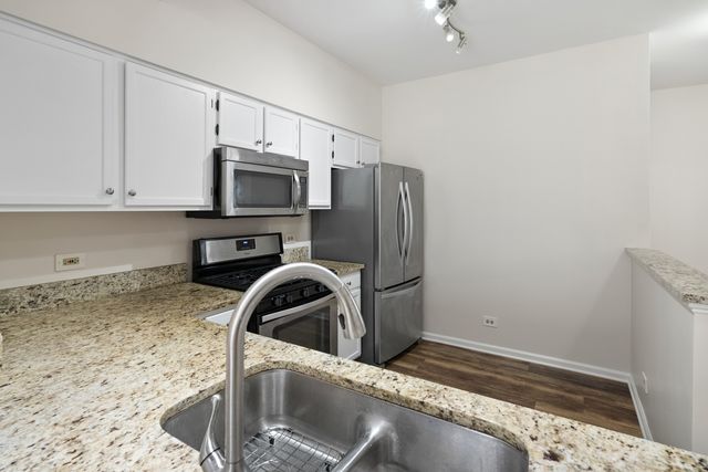 303 Glen Leven Court 303, Schaumburg, IL 60194