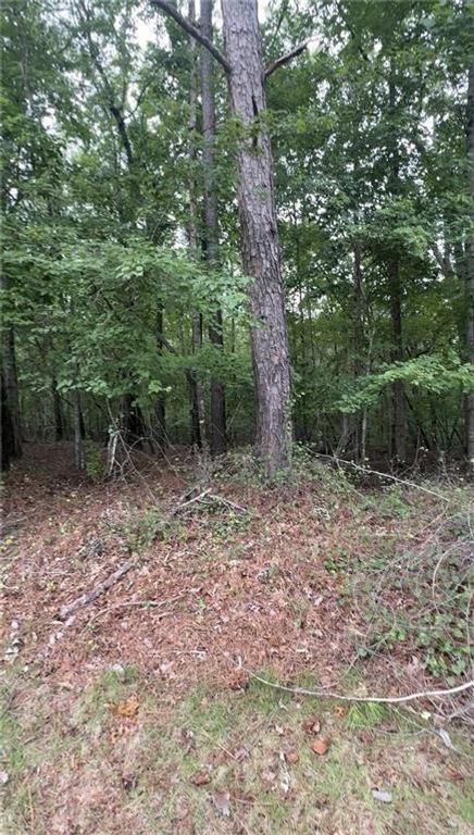 5850 Double Birch, Douglasville, GA 30135
