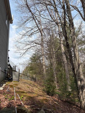 6 S Spaulding Brook Road, Brookline, NH 03033