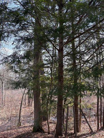 6 S Spaulding Brook Road, Brookline, NH 03033