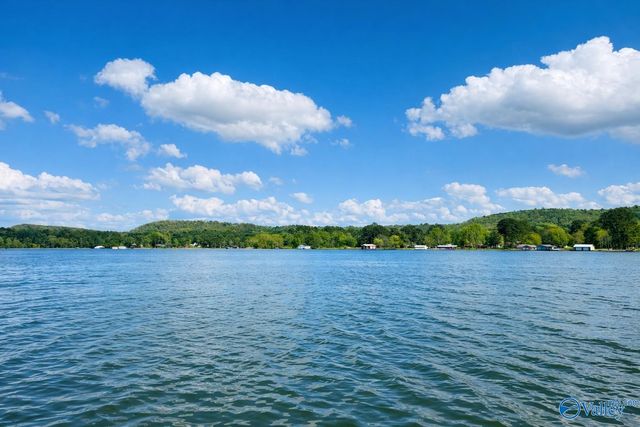 3713 Meadow Wood Circle, Guntersville, AL 35976