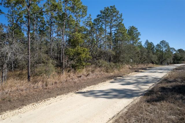 UNDETERMINED TERRACE, Dunnellon, FL 34432