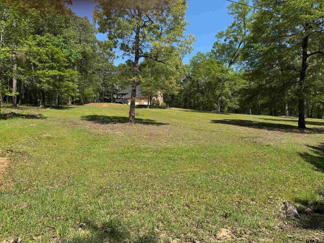 18050 Deer Trail, Flint, TX 75762