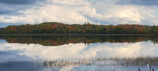 27686 Little Whitefish Road, Garrison, MN 56450