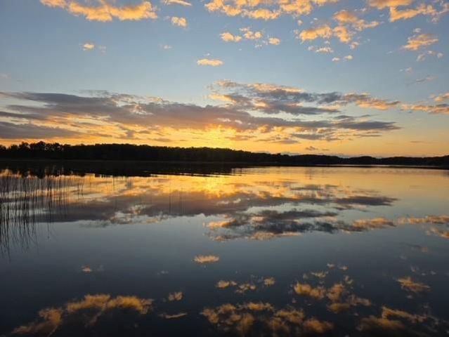 27686 Little Whitefish Road, Garrison, MN 56450