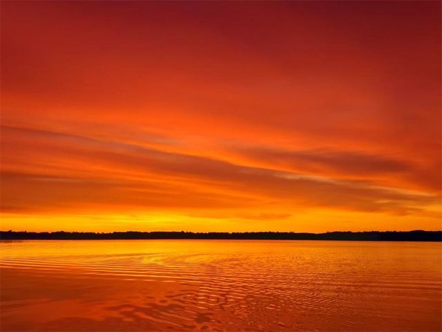 27686 Little Whitefish Road, Garrison, MN 56450