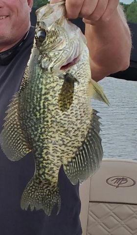 27686 Little Whitefish Road, Garrison, MN 56450