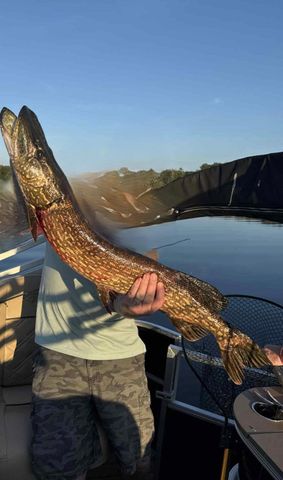 27686 Little Whitefish Road, Garrison, MN 56450