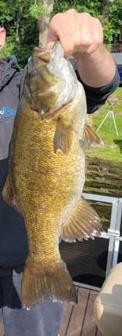 27686 Little Whitefish Road, Garrison, MN 56450