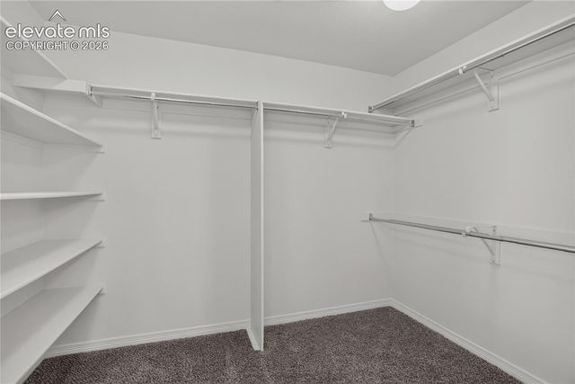 2394 Reed Grass Way, Colorado Springs, CO 80915