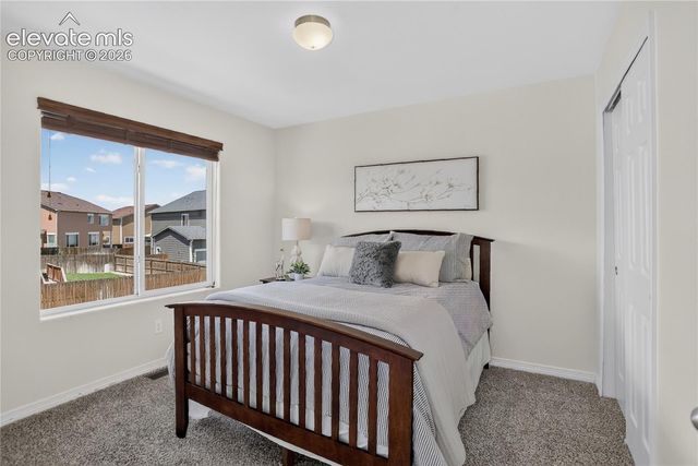 2394 Reed Grass Way, Colorado Springs, CO 80915