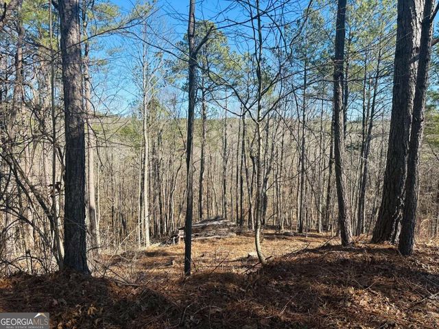 9590 Grande Drive, Winston, GA 30187