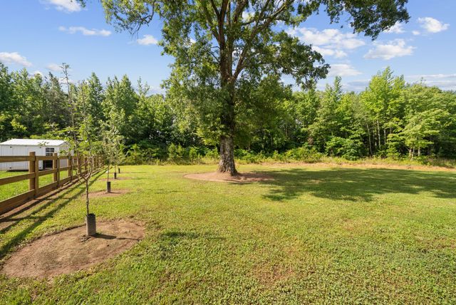 4108 Summertown Hwy, Summertown, TN 38483