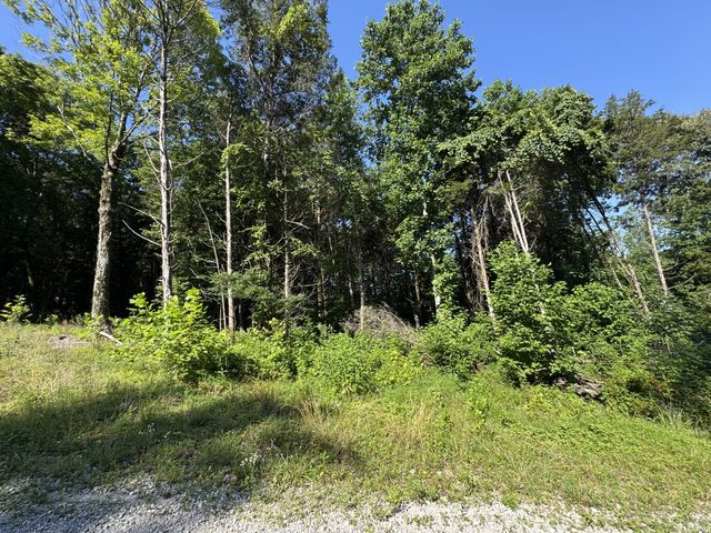 2950 Highway 13, Cumberland Furnace, TN 37051