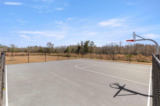 17205 BIGLEAF MAHOGANY LANE, Land O Lakes, FL 34638