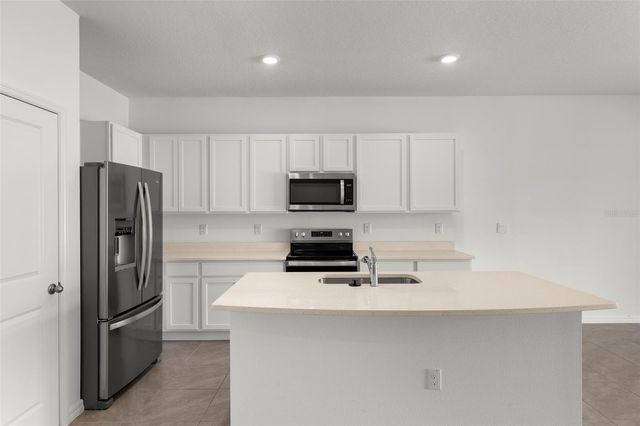 17205 BIGLEAF MAHOGANY LANE, Land O Lakes, FL 34638