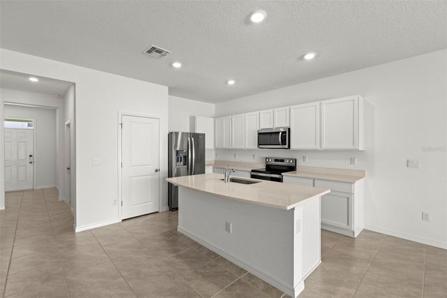 17205 BIGLEAF MAHOGANY LANE, Land O Lakes, FL 34638