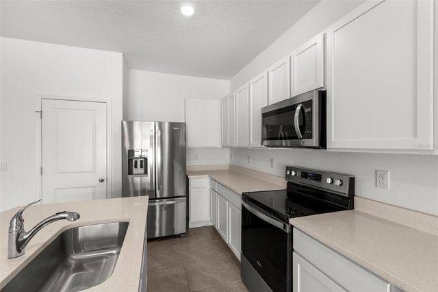 17205 BIGLEAF MAHOGANY LANE, Land O Lakes, FL 34638