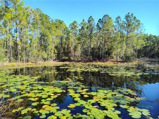 SMITH STREET, Astor, FL 32102