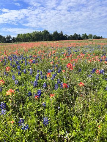 7850 Highway 159 W, Bellville, TX 77418