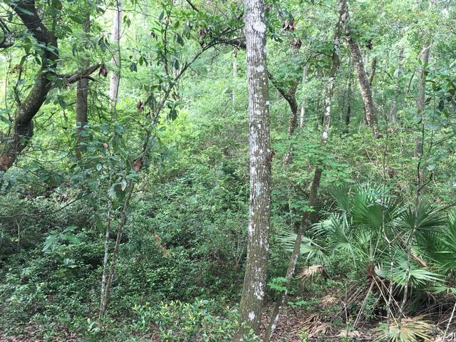 00 BLACK CREEK TRACT, Middleburg, FL 32068