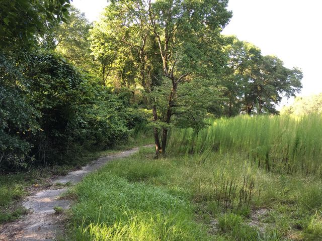 00 BLACK CREEK TRACT, Middleburg, FL 32068