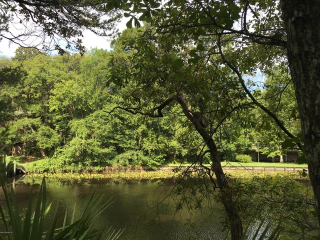 00 BLACK CREEK TRACT, Middleburg, FL 32068