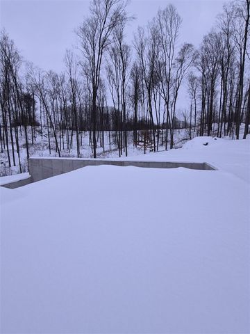 16314 Mitchell Creek Trail, Big Rapids, MI 49307