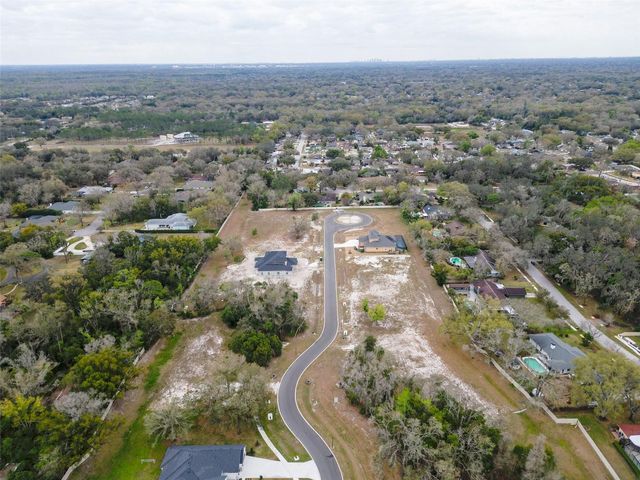 18460 PURPLE CREEK LANE, Lutz, FL 33549