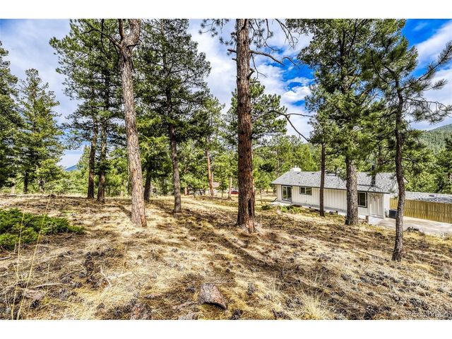 30171 Marge Ln, Evergreen, CO 80439