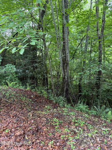 Lot 4 Mountain Vista Lane, Topton, NC 28781