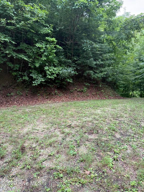 Lot 4 Mountain Vista Lane, Topton, NC 28781