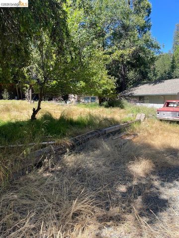 18730 Broadhurst Dr., Twain Harte, CA 95383